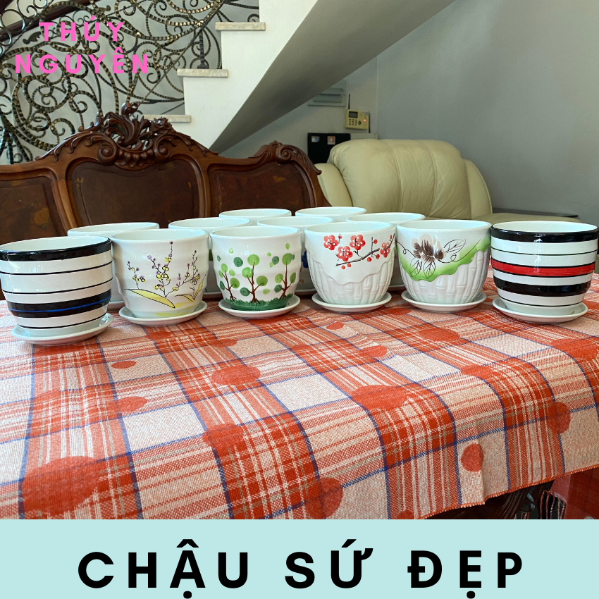 Chậu gốm sứ mini trồng sen đá để bàn