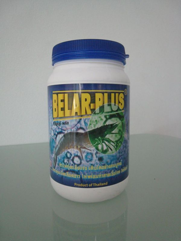 BELAR-PLUS