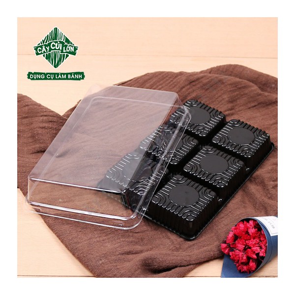 SET 10 HỘP PET 6 BÁNH HT530
