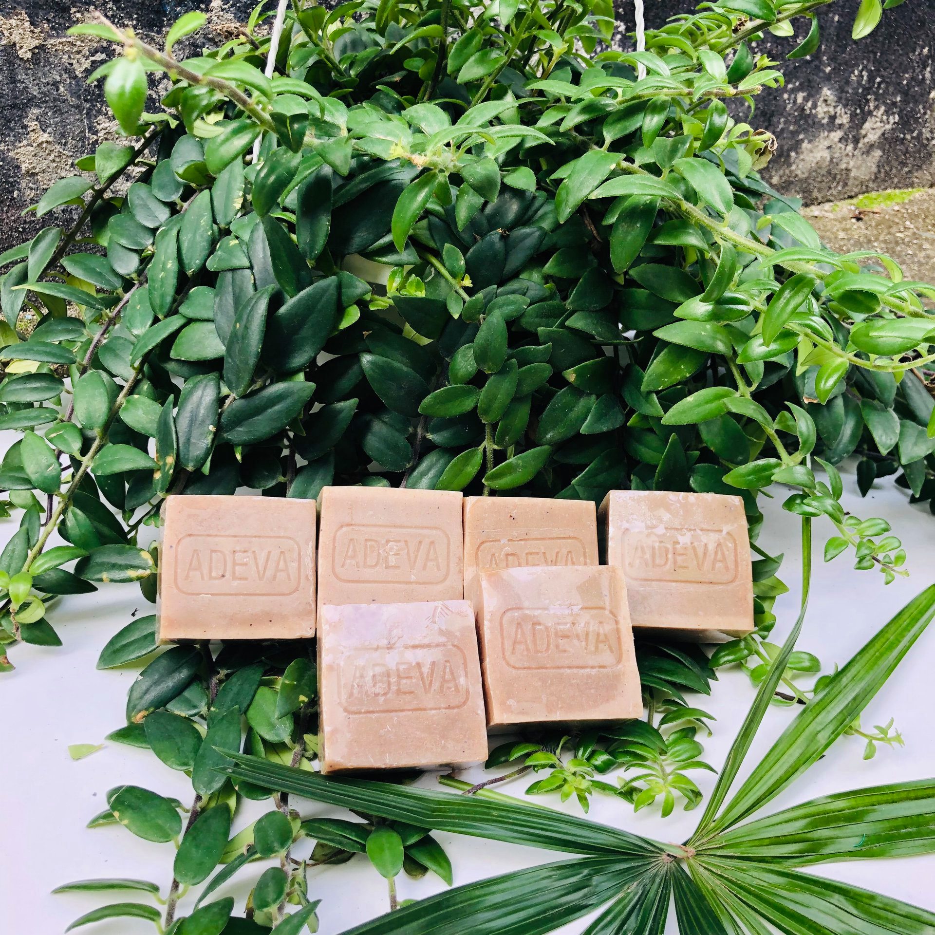 [HCM]Xà phòng handmade Adeva - Noni soap