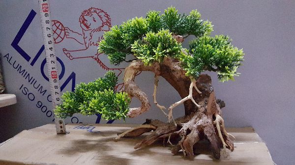 Lũa Bonsai- ngan25cm,cao 20cm