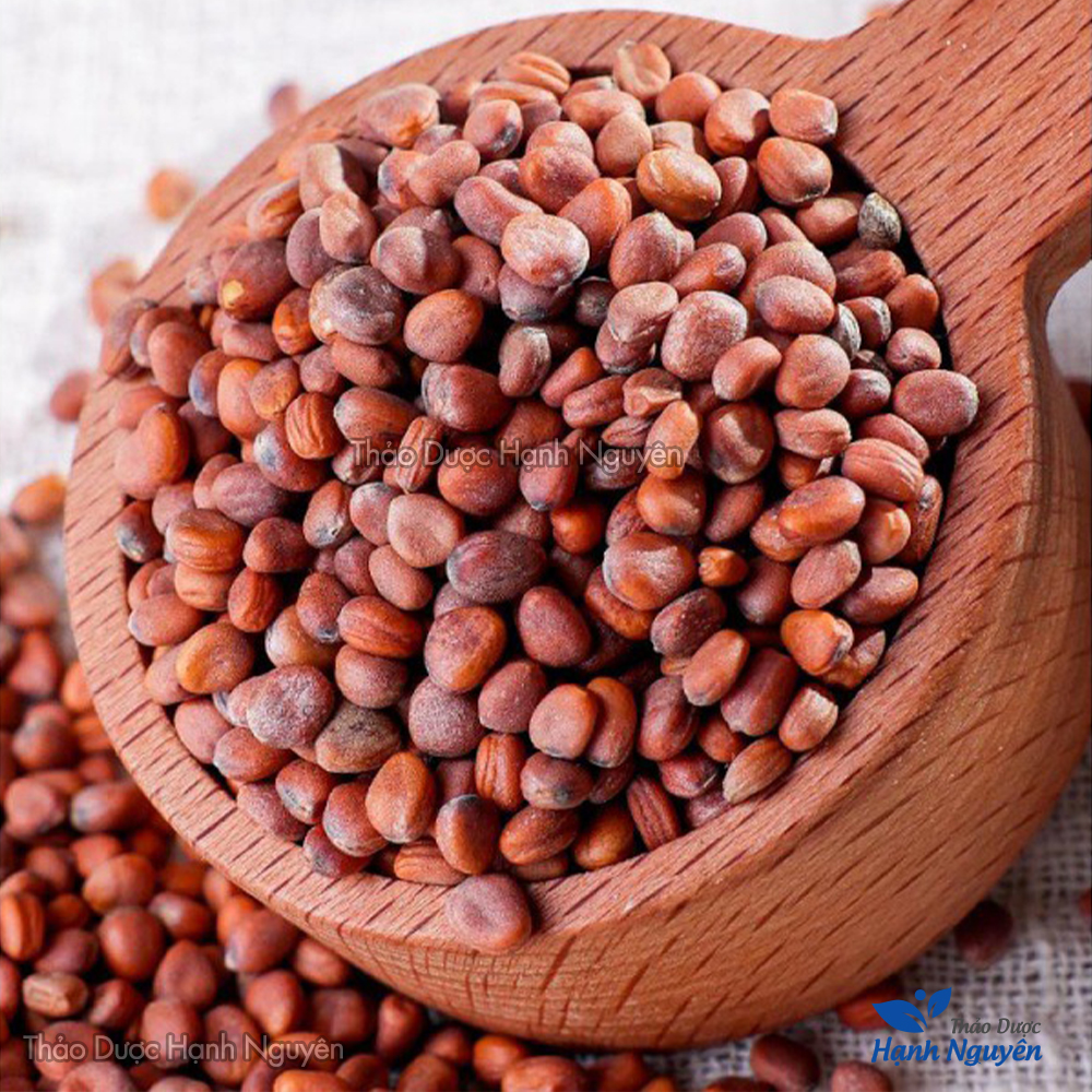 La bạc tử 100g (Lai phục tử, giảm đàm ho, hen suyễn) - Thảo dược hạnh nguyên