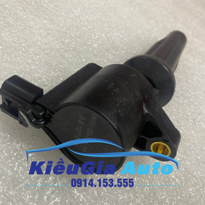 Mô bin (Bô bin) Ford Focus 1.8 2.0 2006-2019 Chính hang