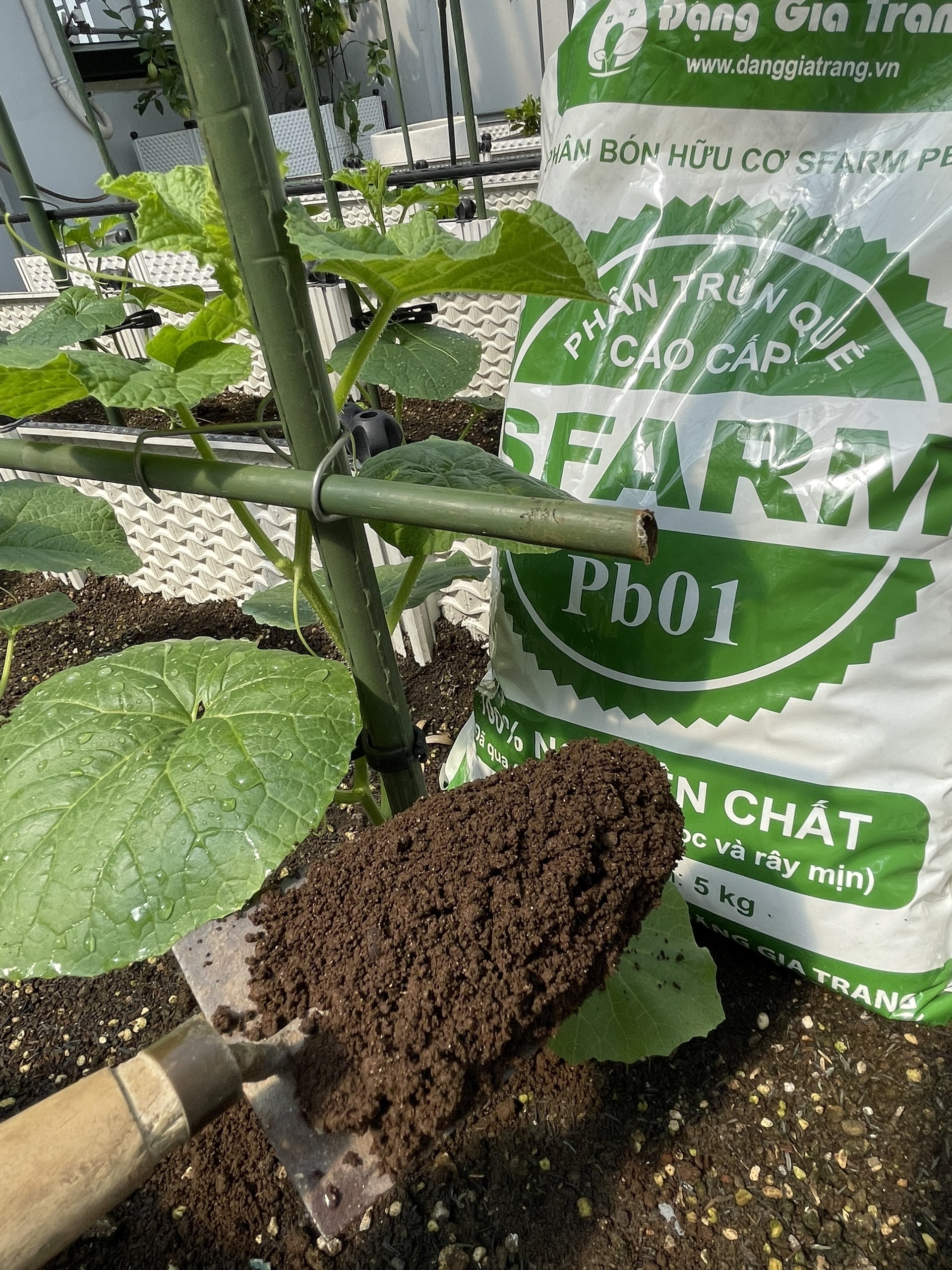 Phân trùn quế Sfarm nguyên chất 5kg