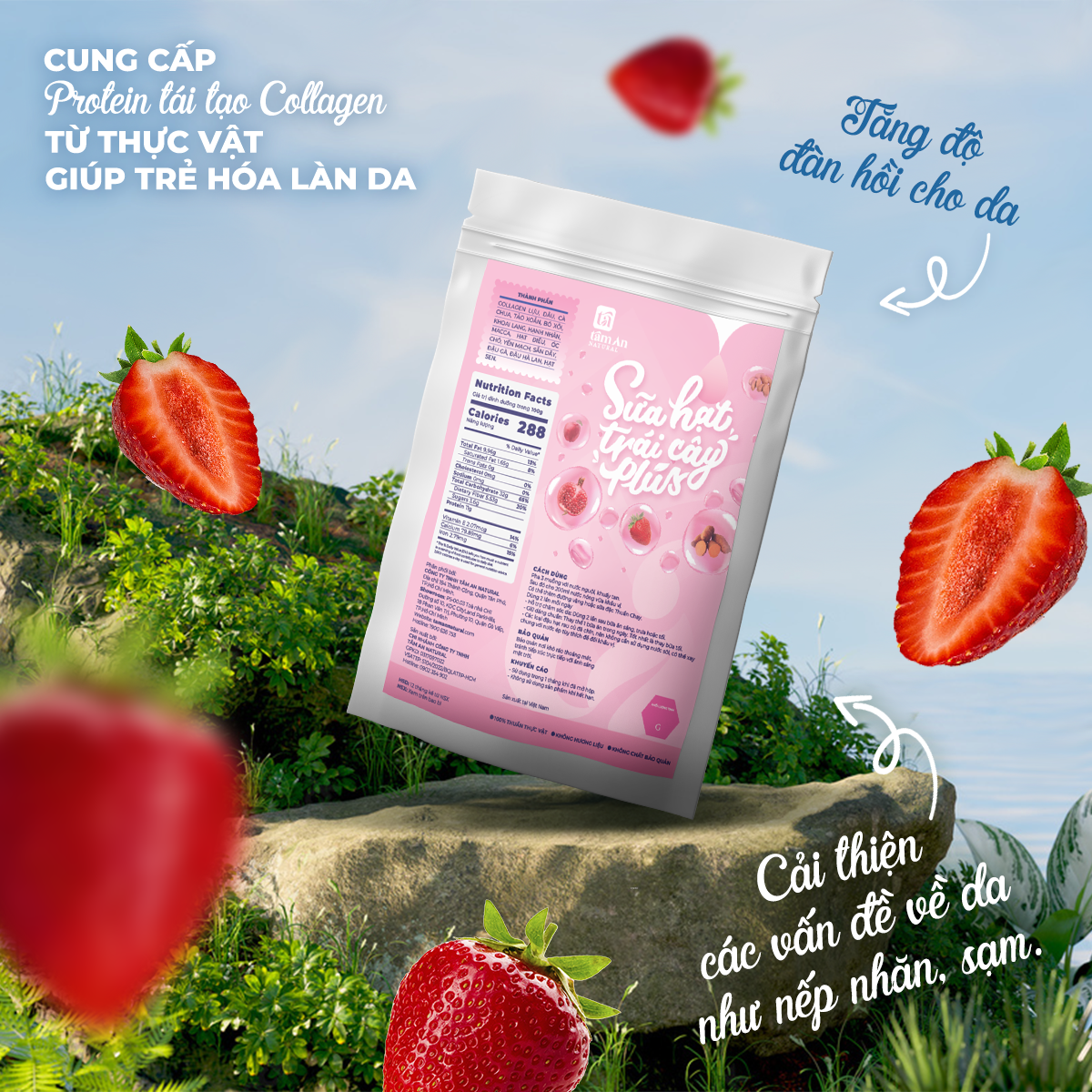 SỮA HẠT TRÁI CÂY PLUS 50g