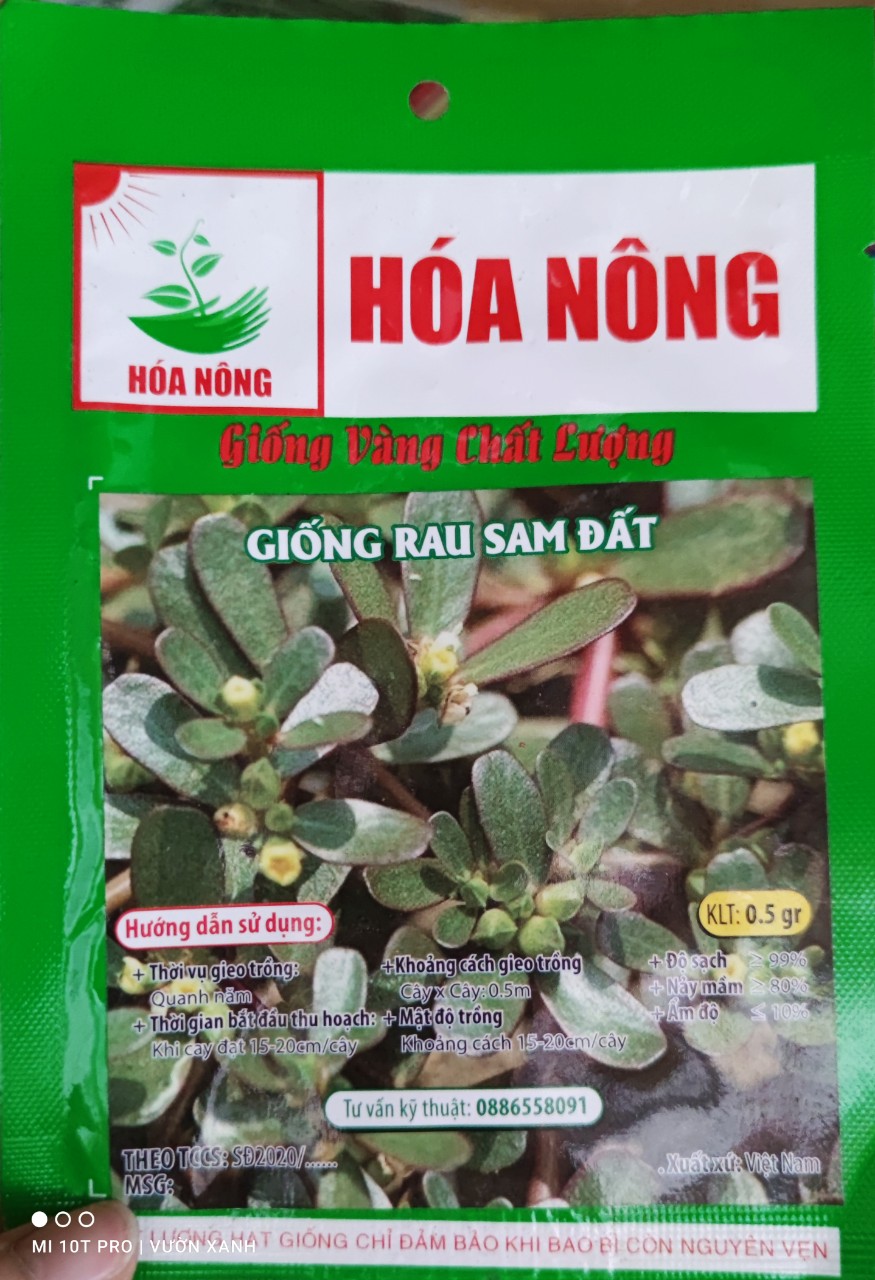 Hạt giống rau sam đất 0.5gr