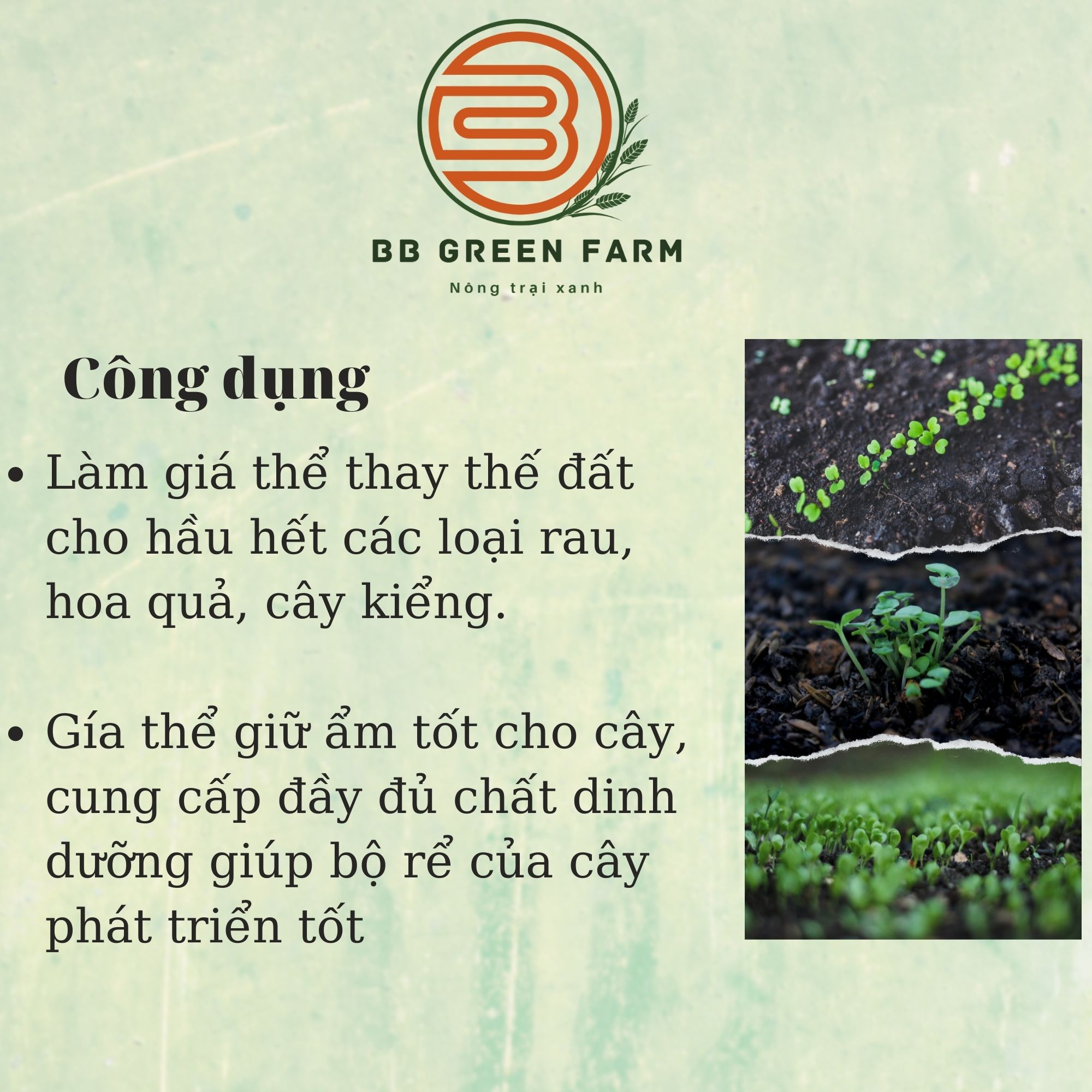 Phân trộn sẵn (xơ dừa, tro, trấu, phân bò)- BB GREEN FARM (5dm3).
