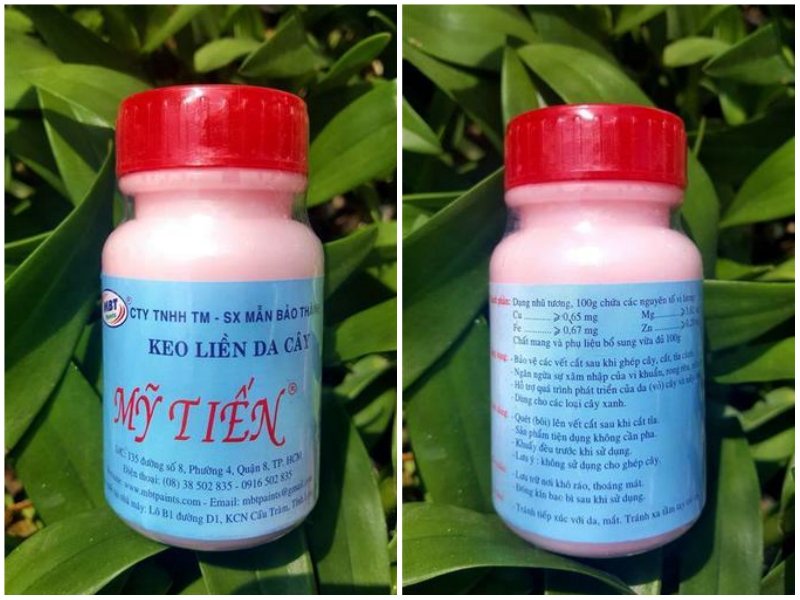 Keo liền da cây Mỹ Tiến 100gr