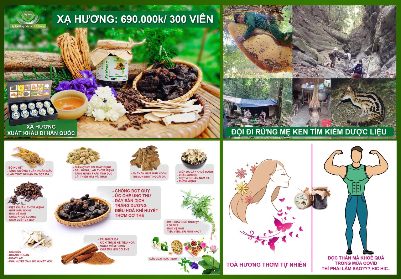 VIÊN XẠ HƯƠNG MẸ KEN (Hộp 300 viên)