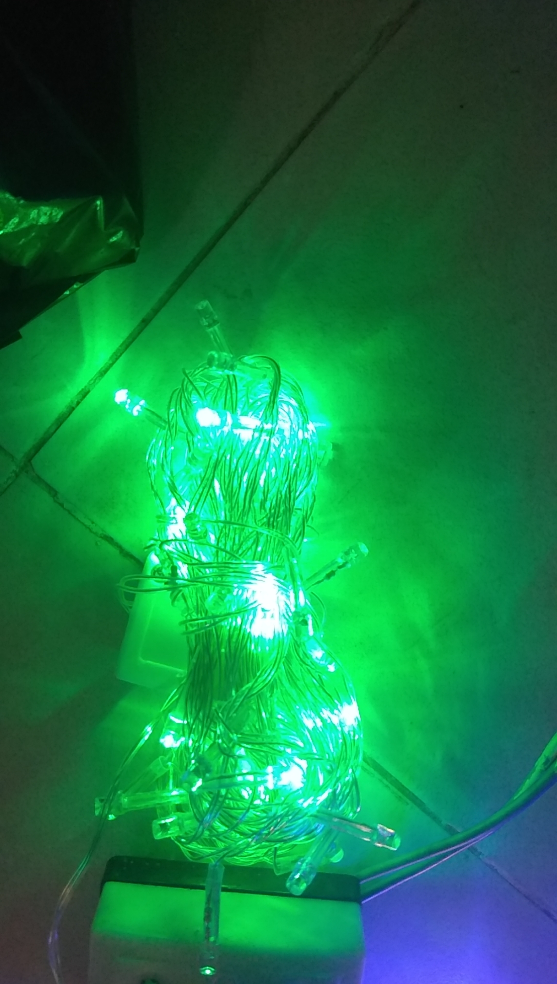 [HCM]Đèn Dây Led Không Nháy 7m Được Chọn Màu