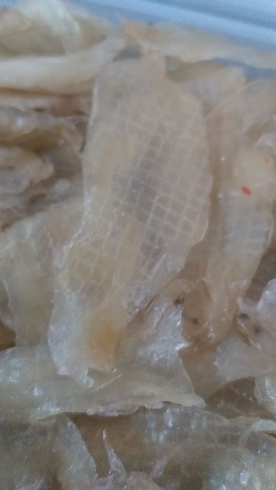 KHÔ ỐC MÓNG TAY DỊP TẾT