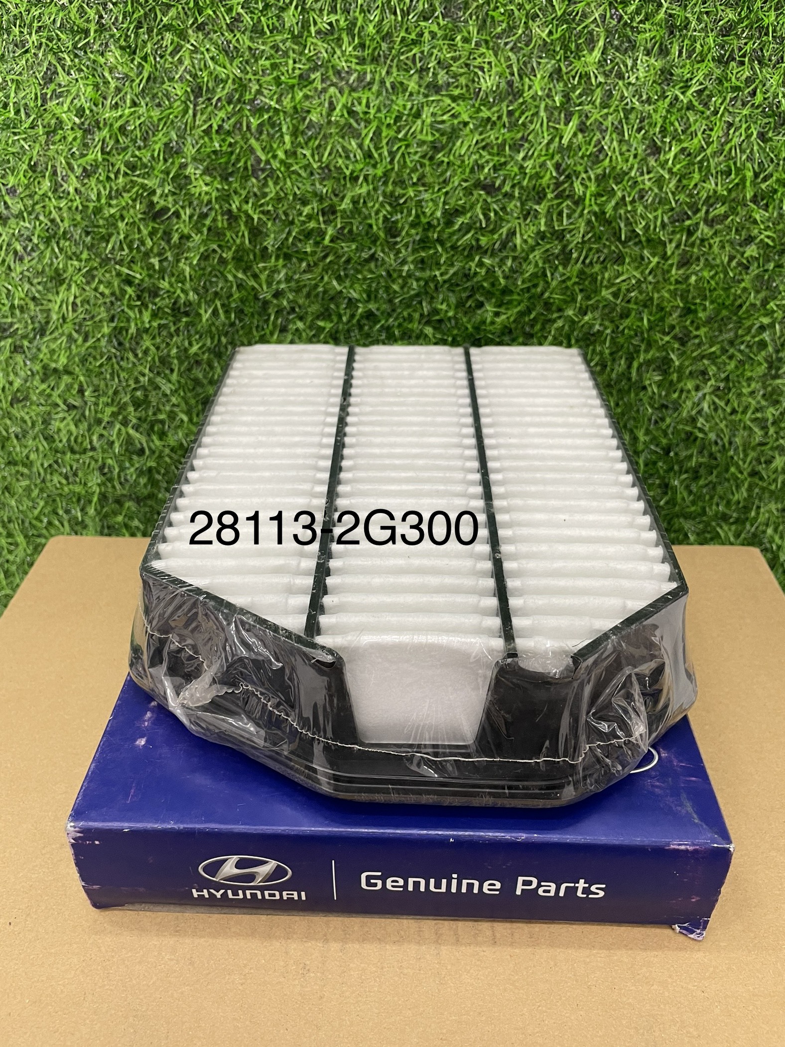 Lọc gió động cơ Kia Carens (máy dầu, Diezel) (Mã: 28113-2G300)