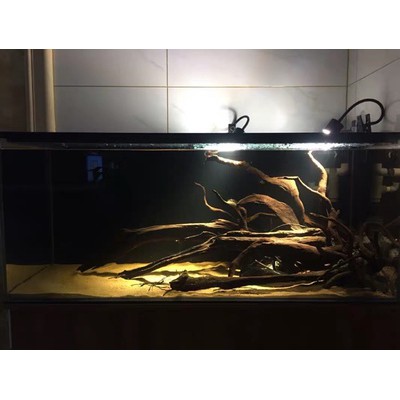 Đèn rọi thuỷ sinh 3 chế độ màu - 3w - 5w