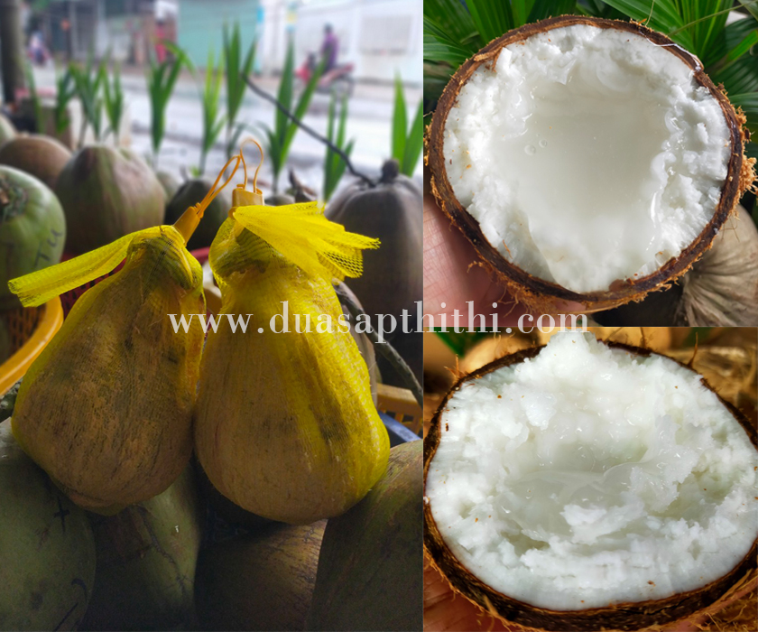DỪA SÁP LOẠI 1 ĐẶC RUỘT (Trái 800gr-1Kg)