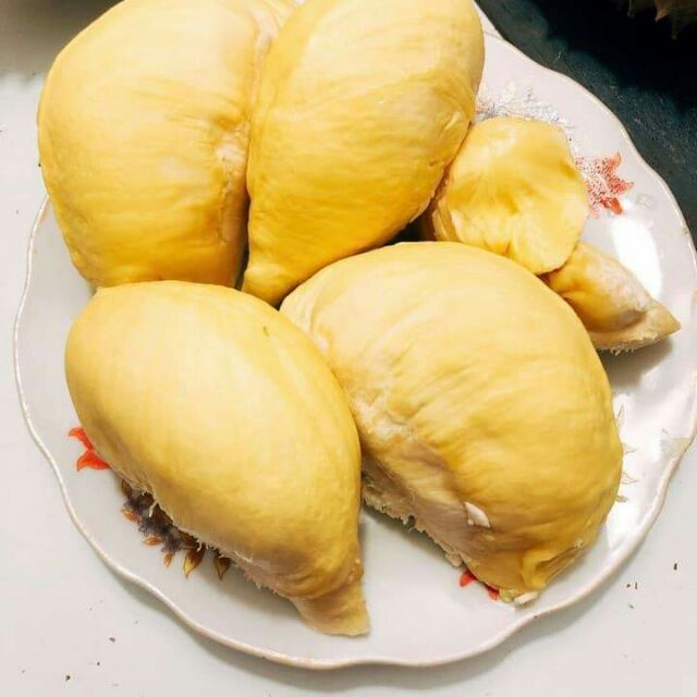 CÂY GIỐNG SẦU RIÊNG MONTHONG THÁI LAN (sầu riêng Dona)