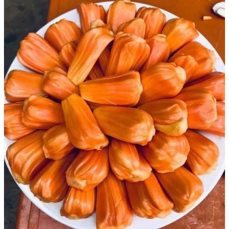 CÂY MÍT THÁI ruột đỏ ra quả sớm