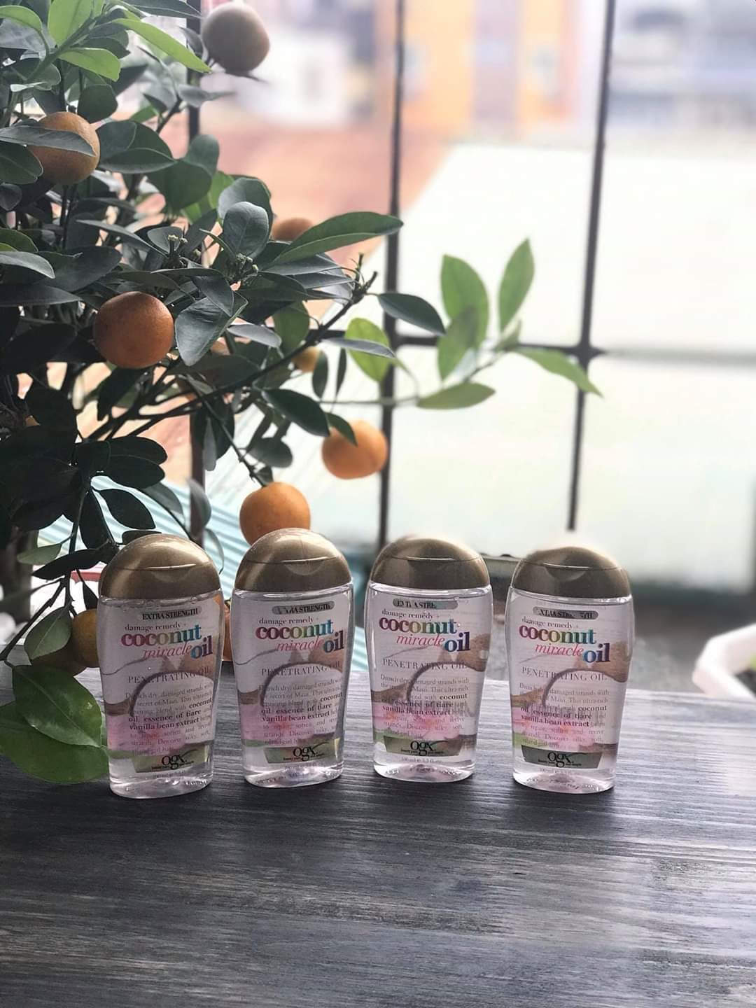 Tinh dầu dưỡng tóc OGX Coconut Miracle Oil