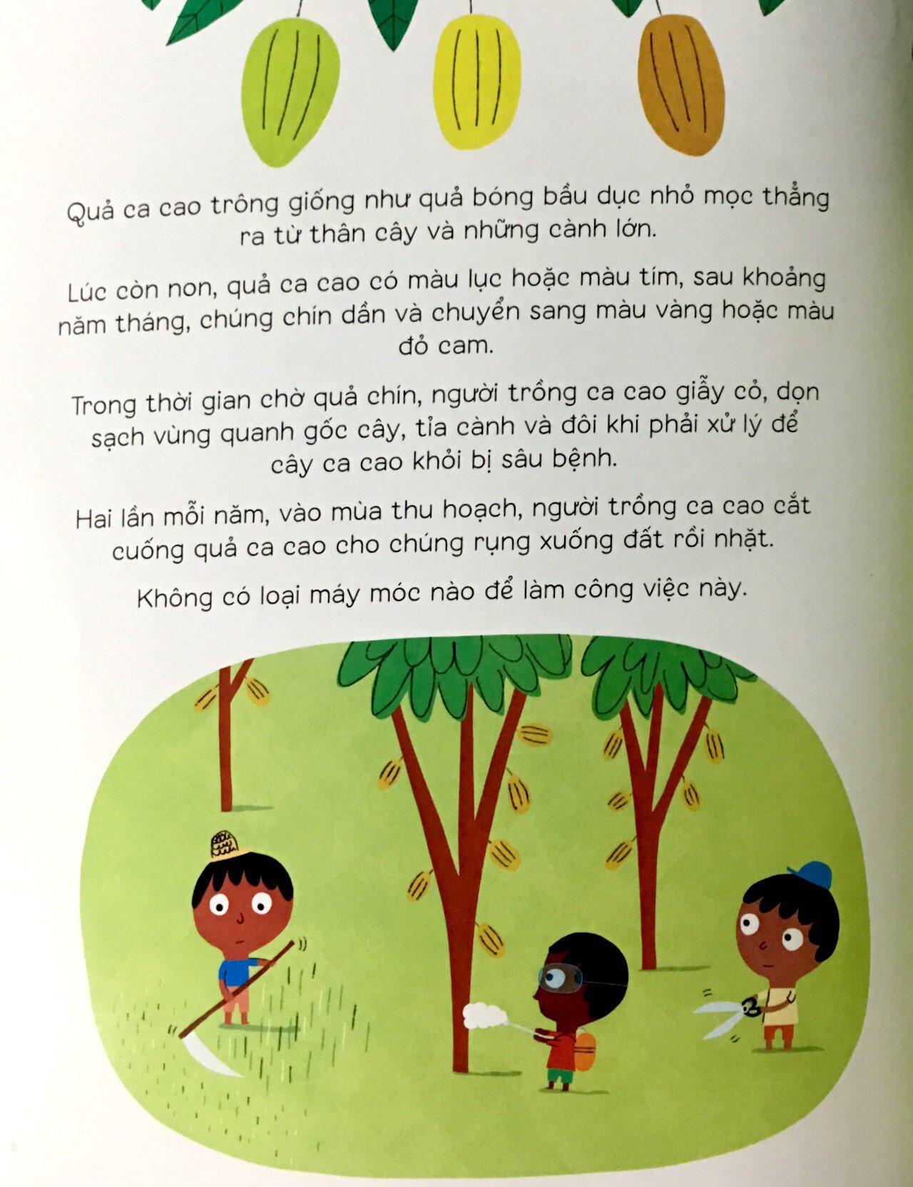 Fahasa - Biết Tuốt Về Đồ Ăn - Sô Cô La
