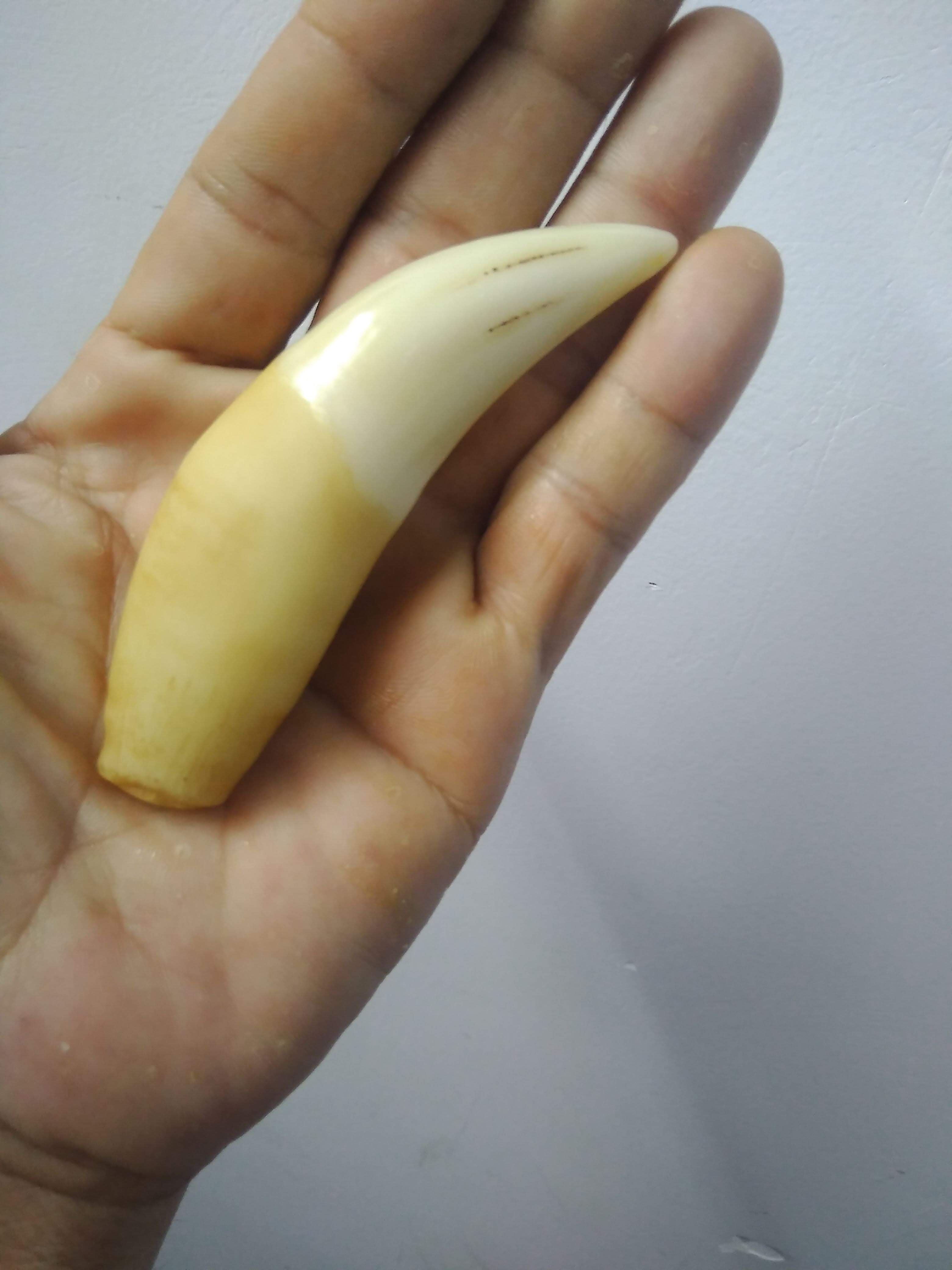 [HCM]NANH MỸ NGHỆ ĐẸP DÀI 10CM CAO CẤP