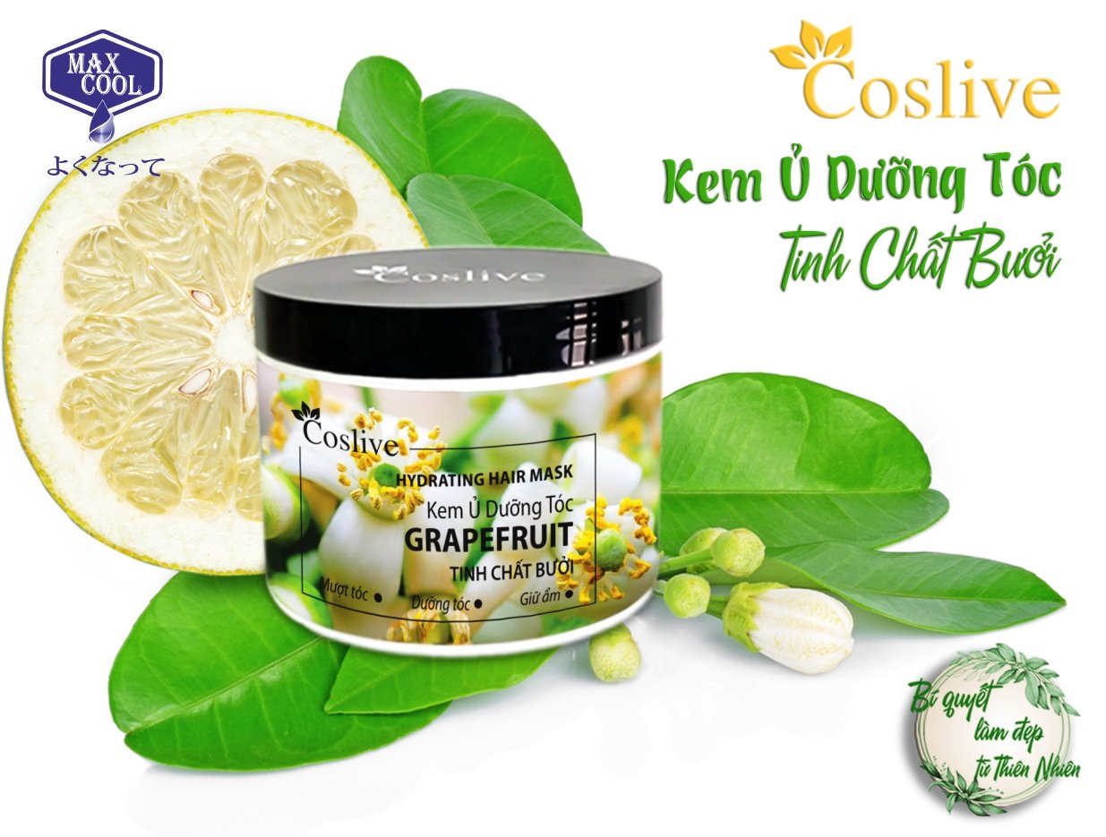 1 hộp Kem ủ dưỡng tóc tinh chất bưởi (Coslive Hydrating Hair Mask) 500gr