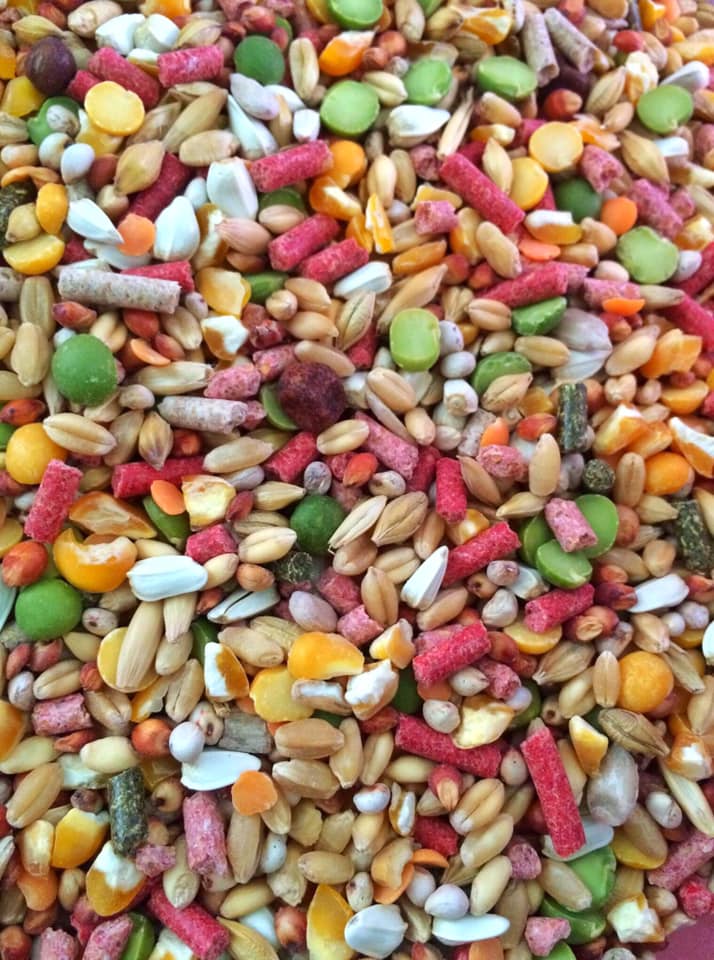 [HCM]Ngũ cốc Viêt cao cấp dành cho gà đá 1kg.