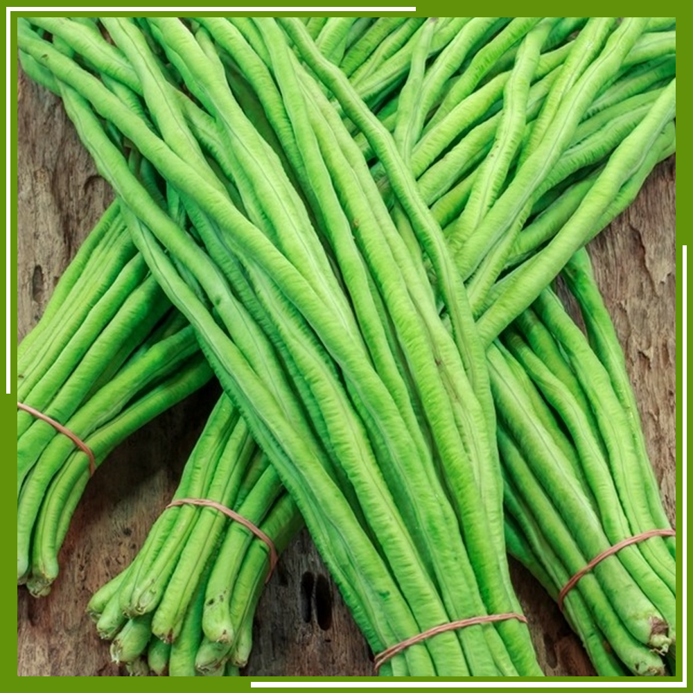 HCM - Đậu đũa (đậu búng) (500 g) - [Giao nhanh TPHCM]