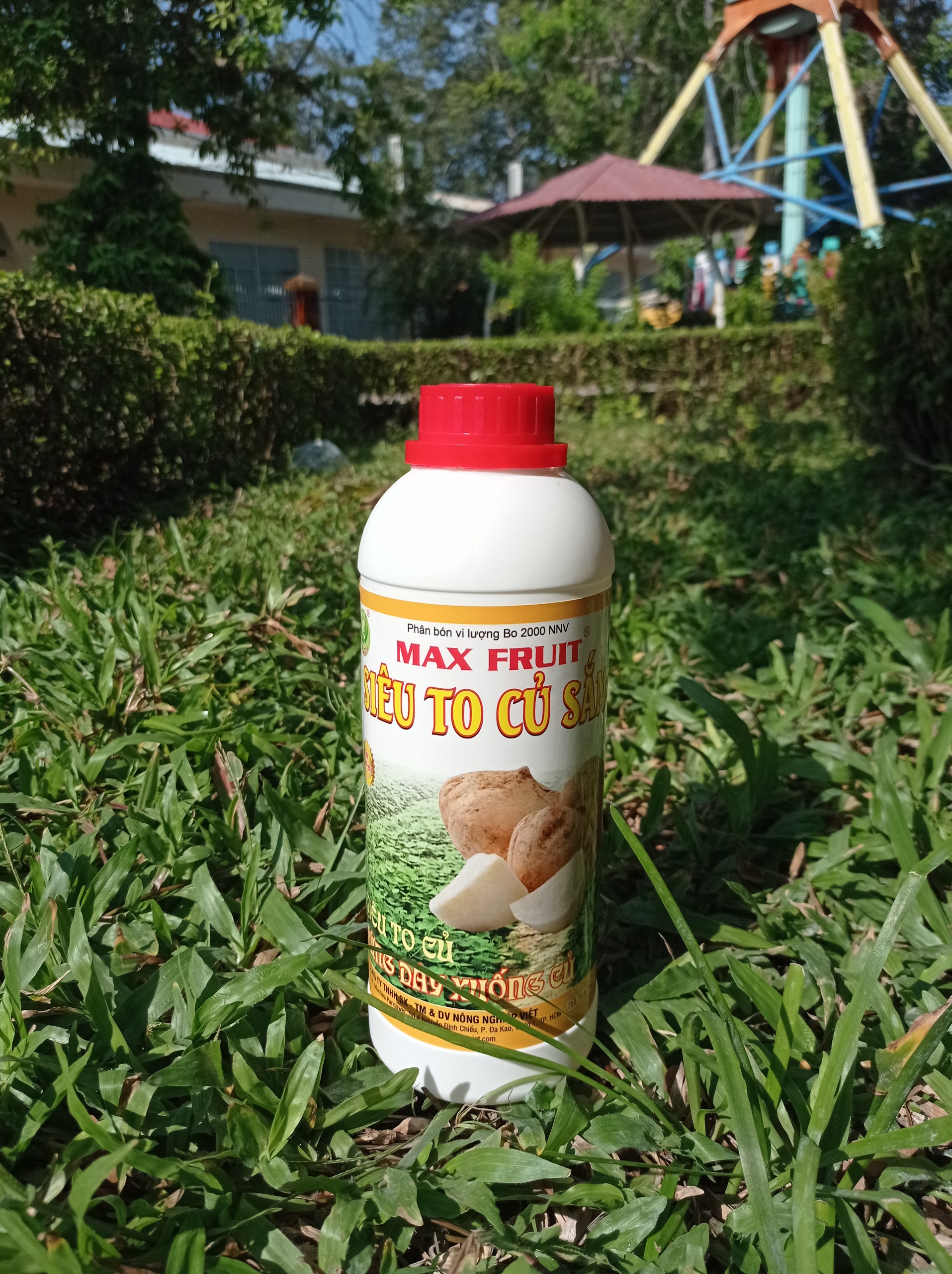 MAX FRUIT SIÊU TO CỦ SẮN 1 LÍT