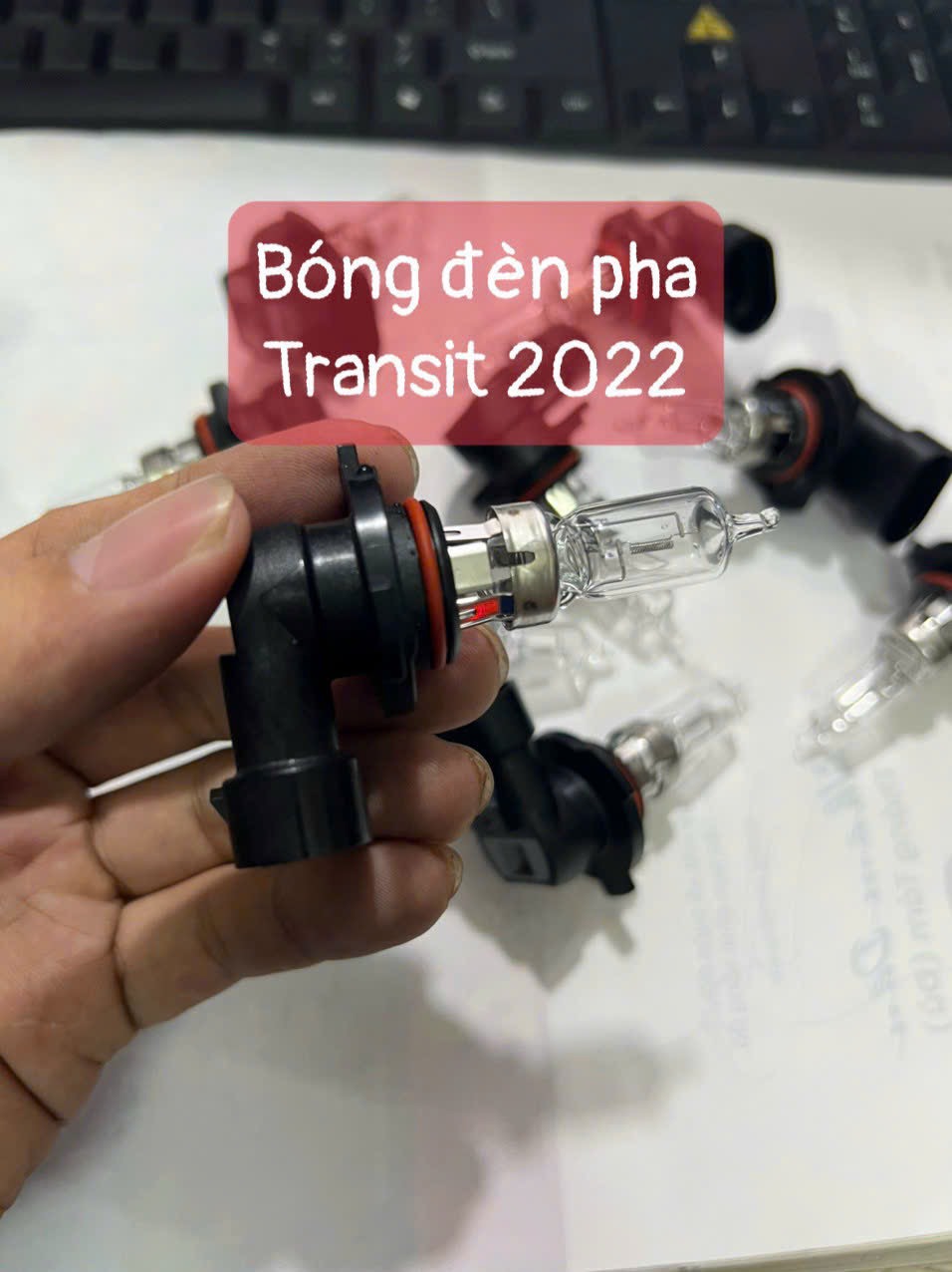 Bóng đèn pha ford transit 2022 chính hãng Phạm văn auto