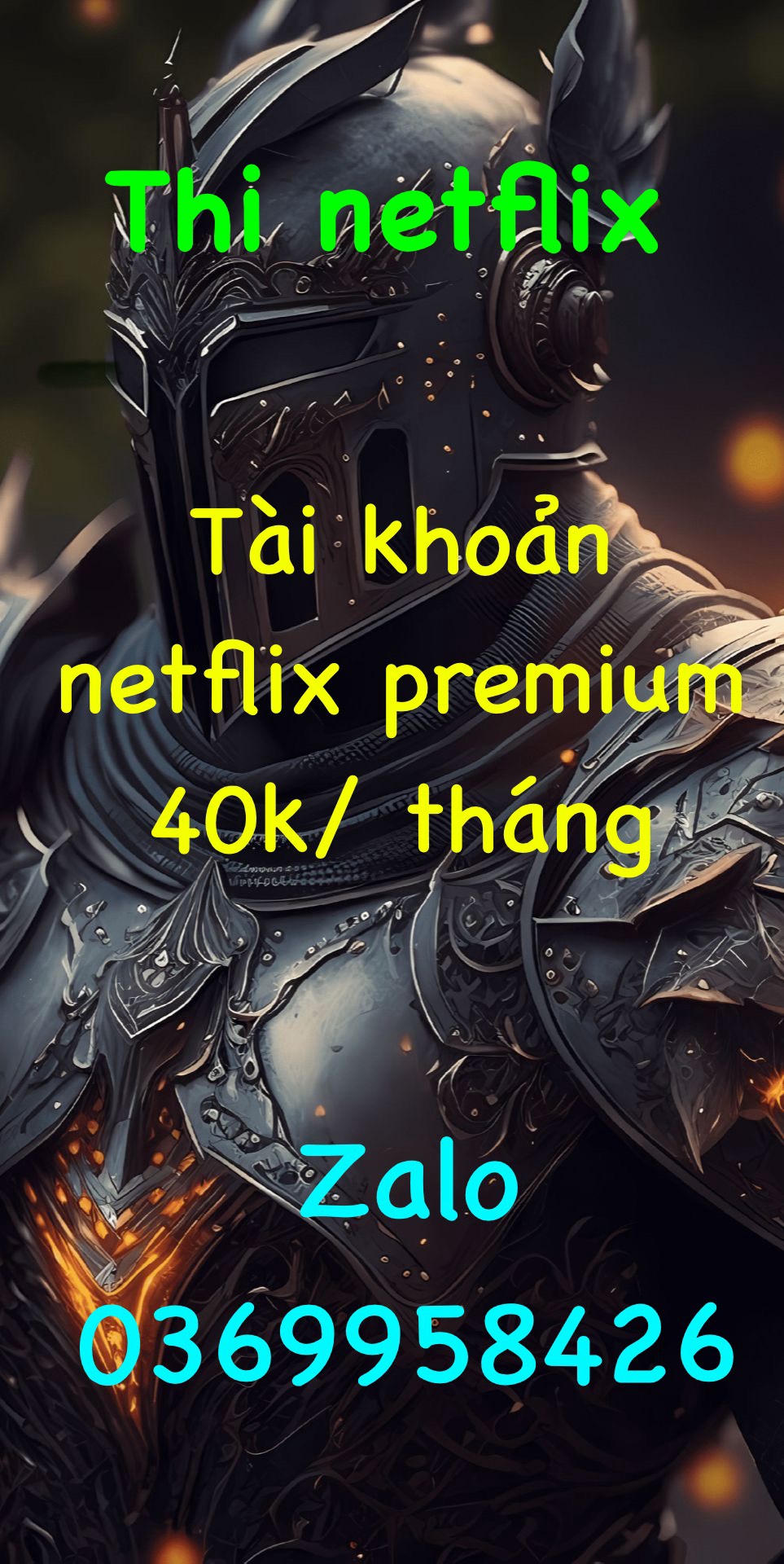 Netflix Premium