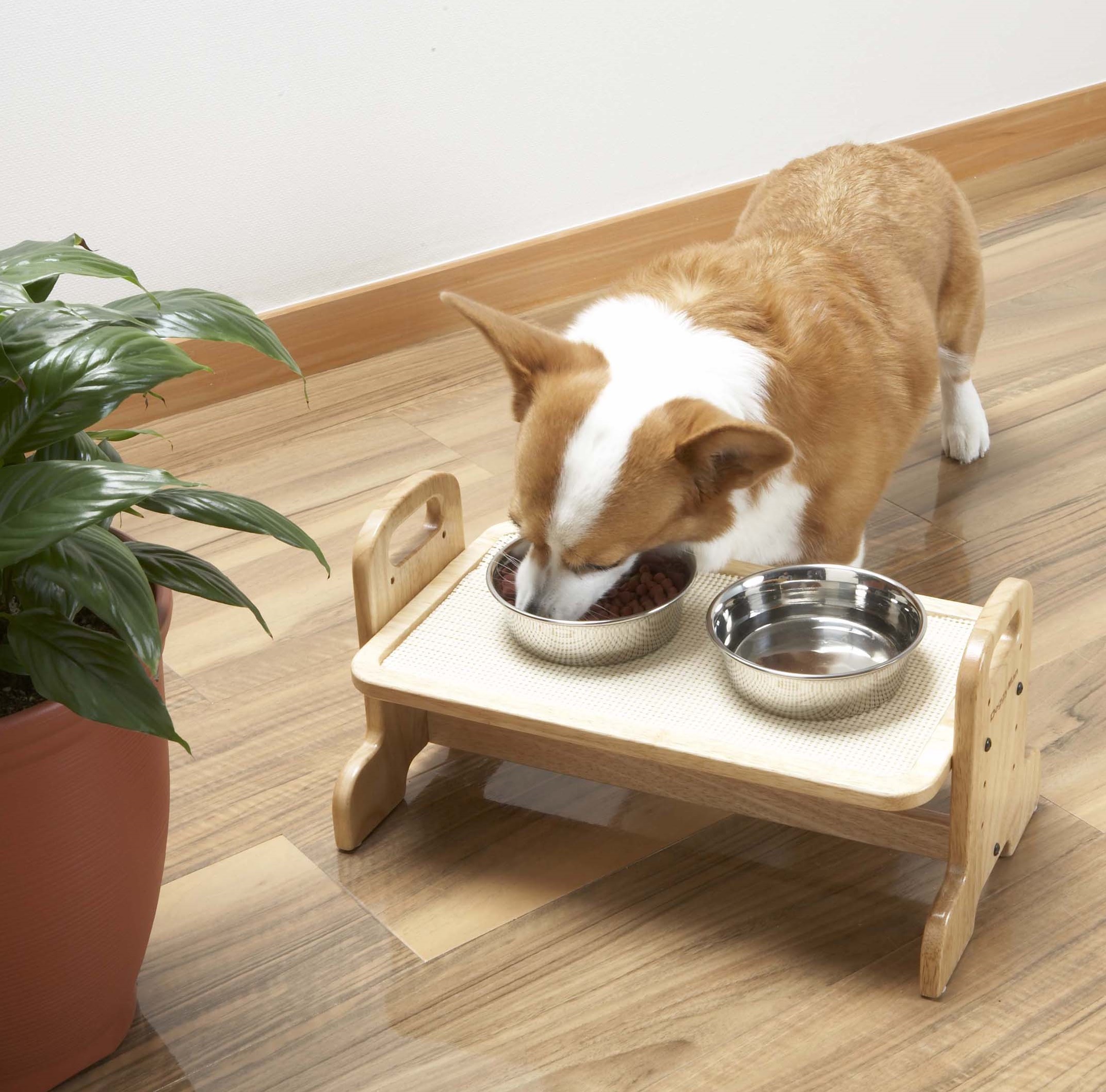 [HCM]Bàn Ăn Gỗ Doggyman Dành Cho Chó Cưng (9330893309)