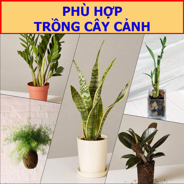 Phân Trùn Quế Nguyên Chất 10Kg