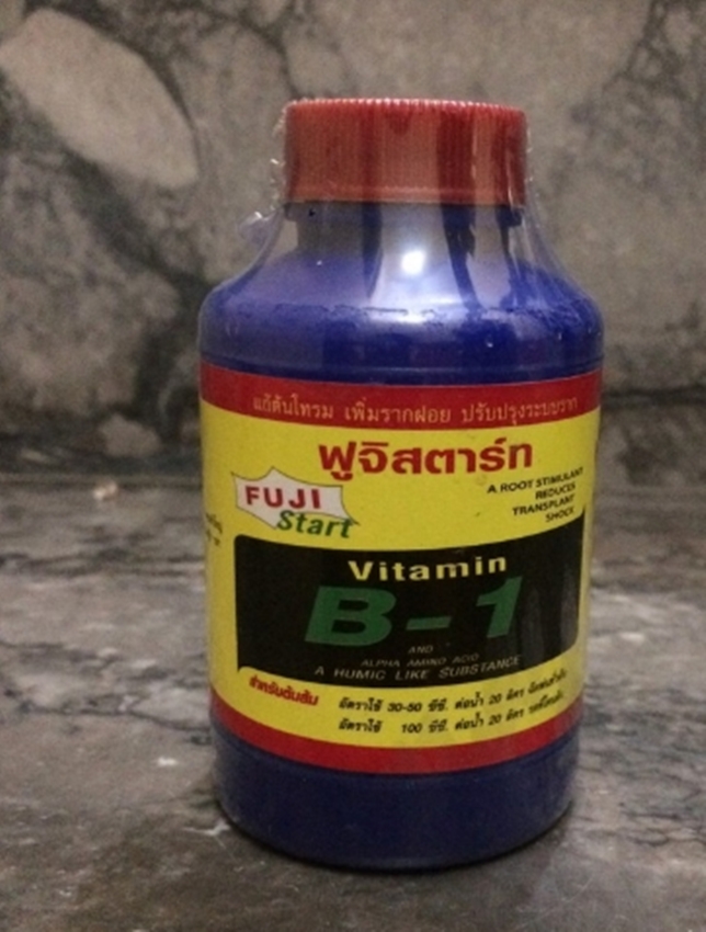 Vitamin B1 Thái Lan - Hàng chuẩn