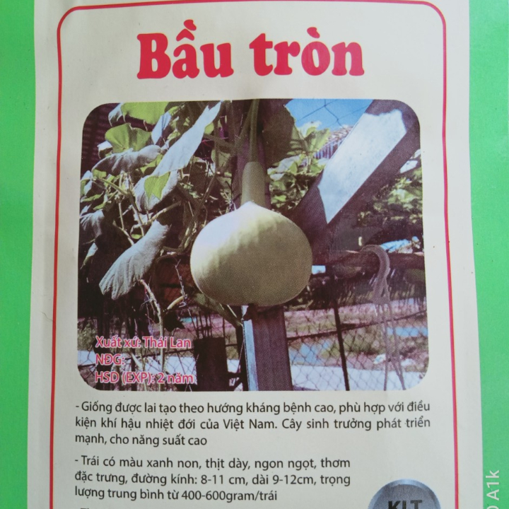 Hạt giống bầu tròn Thái Lan gói 2gr