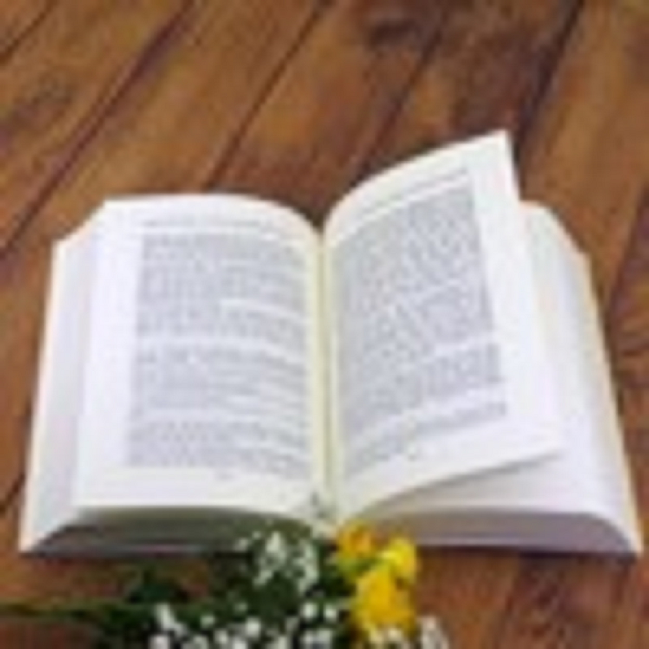 Lịch Sử Tư Tưởng Phật Giáo Ấn Độ