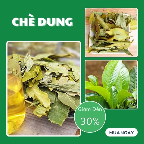 [Hàng mới về] Chè lá dung khô 1kg - Thảo Dược Tấn Phát - Chuyên dùng để pha trà hỗ trợ thanh nhiệt và giải độc