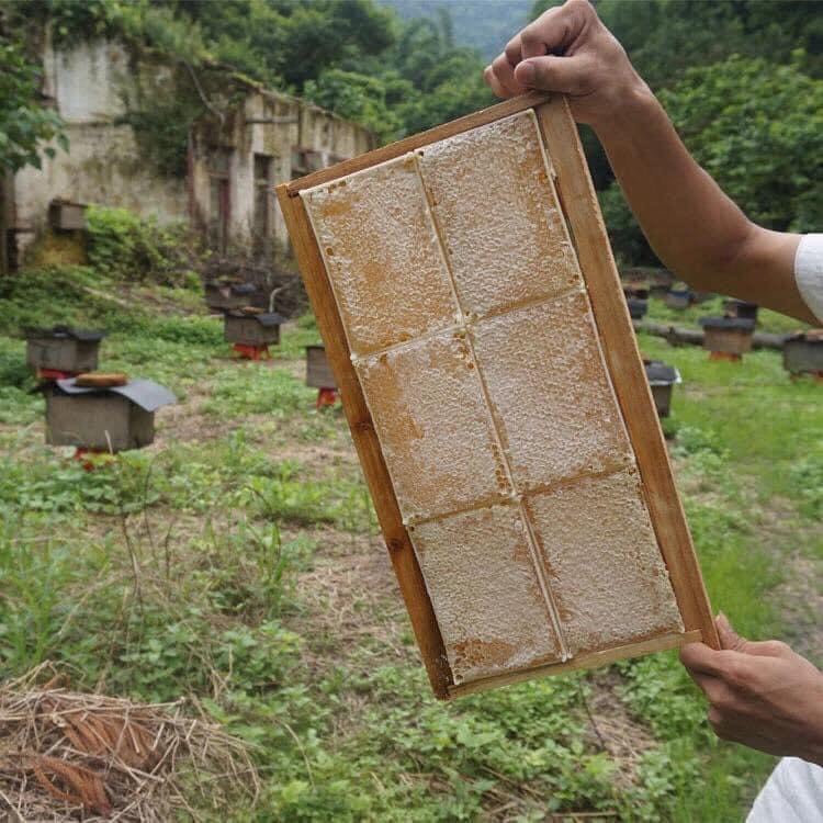 Mật Ong Hoa Rừng Nguyên Chất 100gr