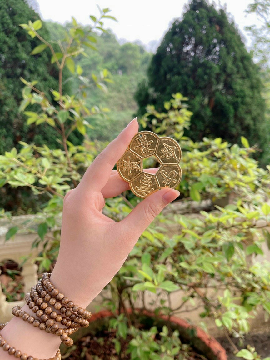Hộp Hoa mai Kim tiền (làm quà tặng ý nghĩa)