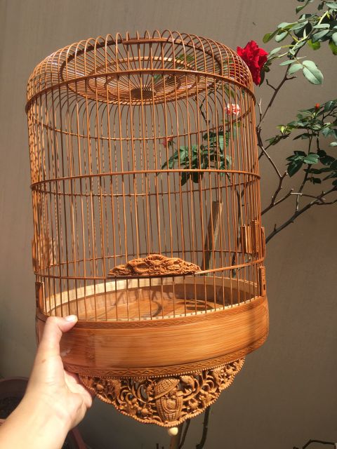 Dầu quét lồng