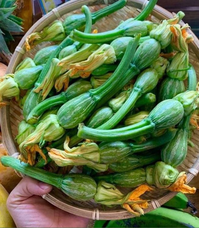 Túi 5 Gram Hạt Giống Bí siêu nụ - VTNT