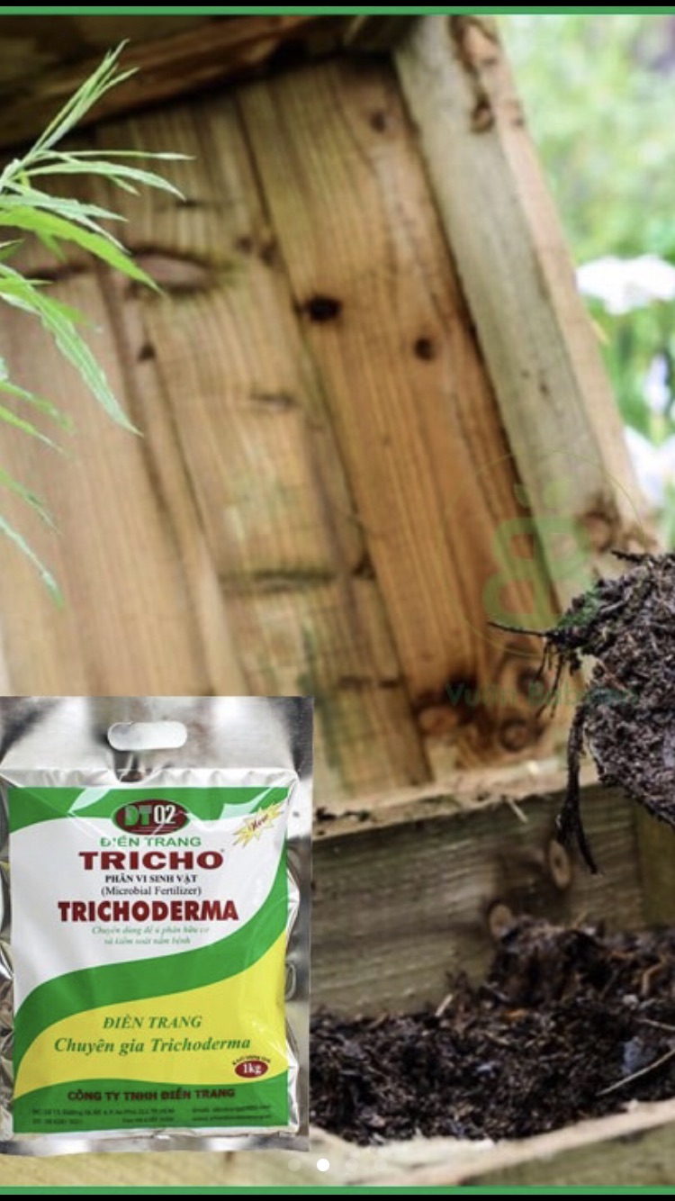 Combo 2 gói Nấm Trichoderma Điền Trang 1 kg