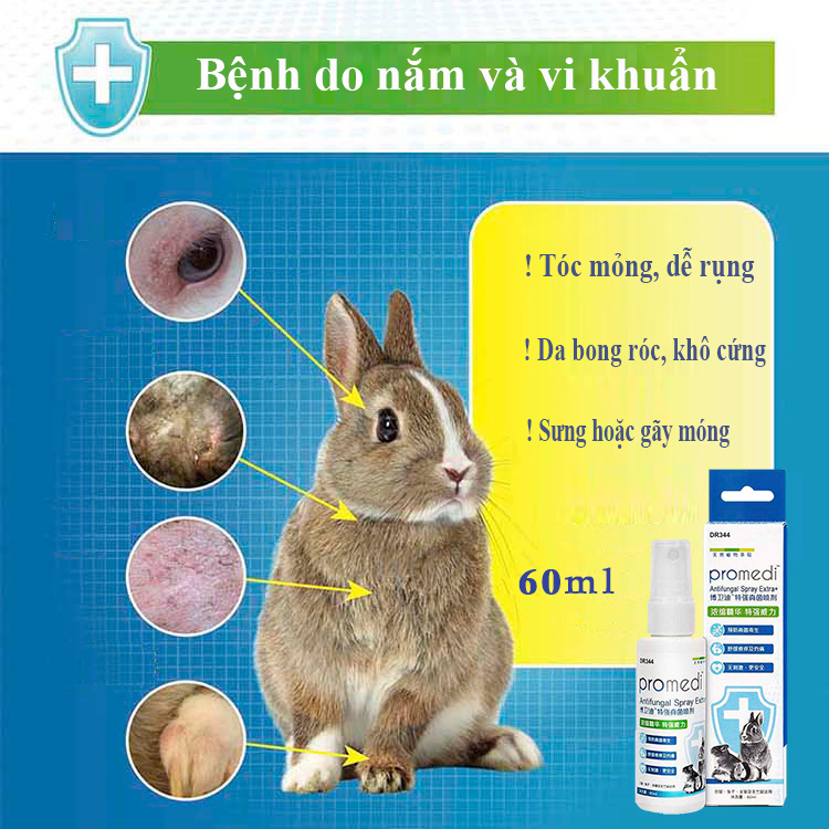 [HCM]Chai Xịt Diệt Khuẩn