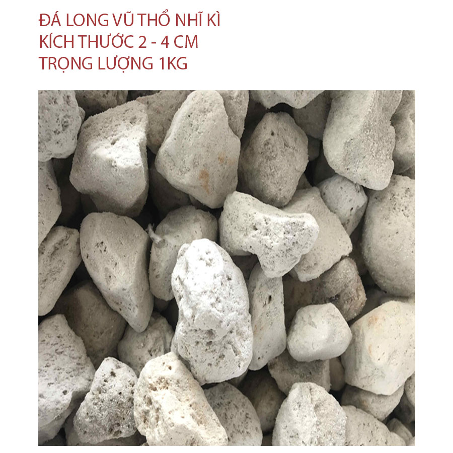Đá Bọt Pumice dùng Trồng Cây, Hoa Kiểng, Phong Lan