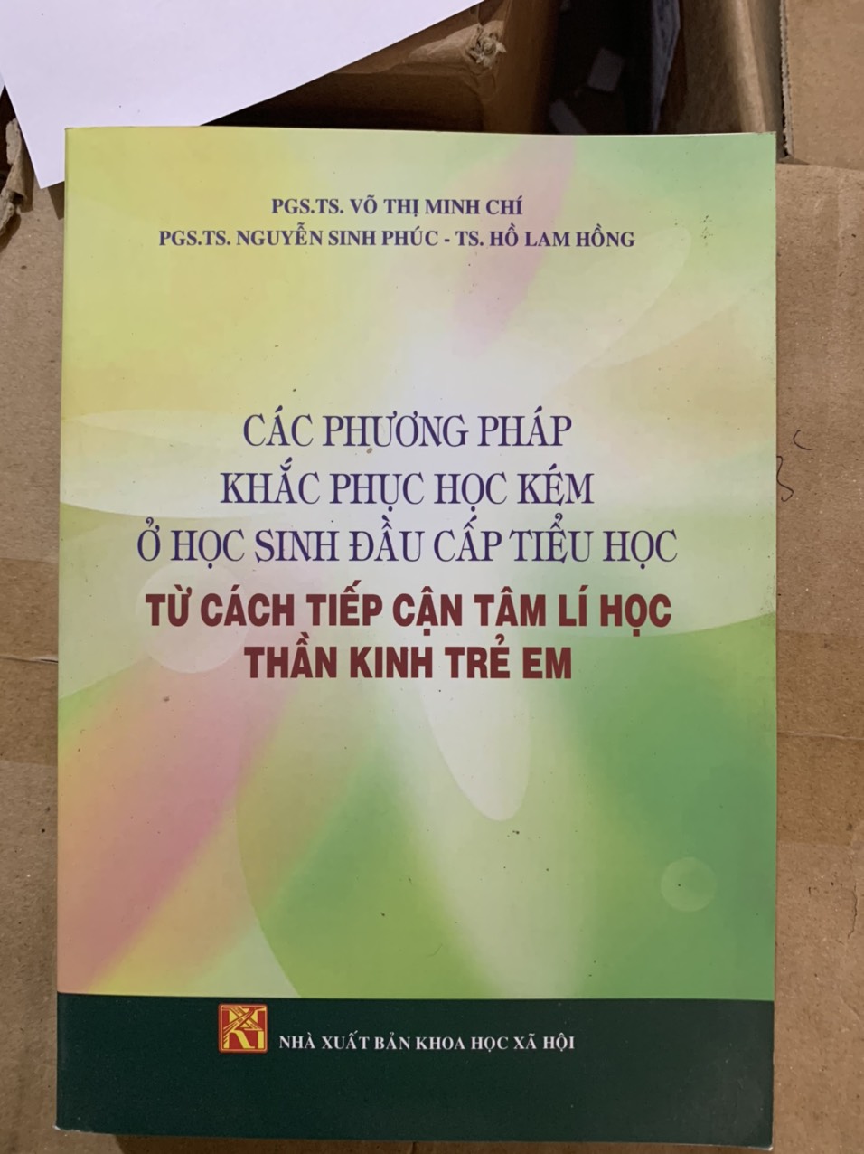 Các phương pháp khắc phục học kém ở học sinh đầu cấp tiểu học từ cách tiếp cần tâm lí học thần kinh trẻ em