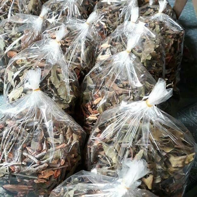 CÂY TẦM GỬI GẠO