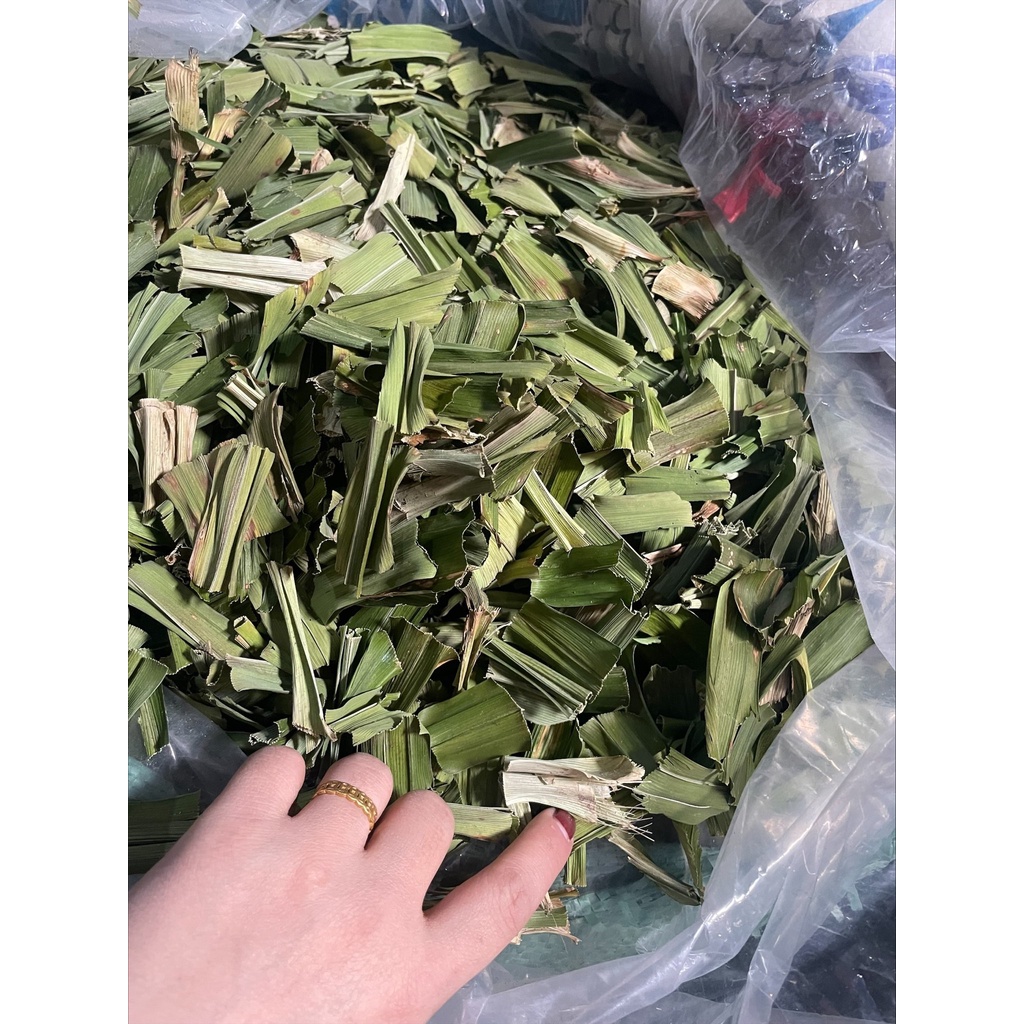 Lá Nếp (LÁ DỨA) 500G- Hàng sạch thơm (loại 1)