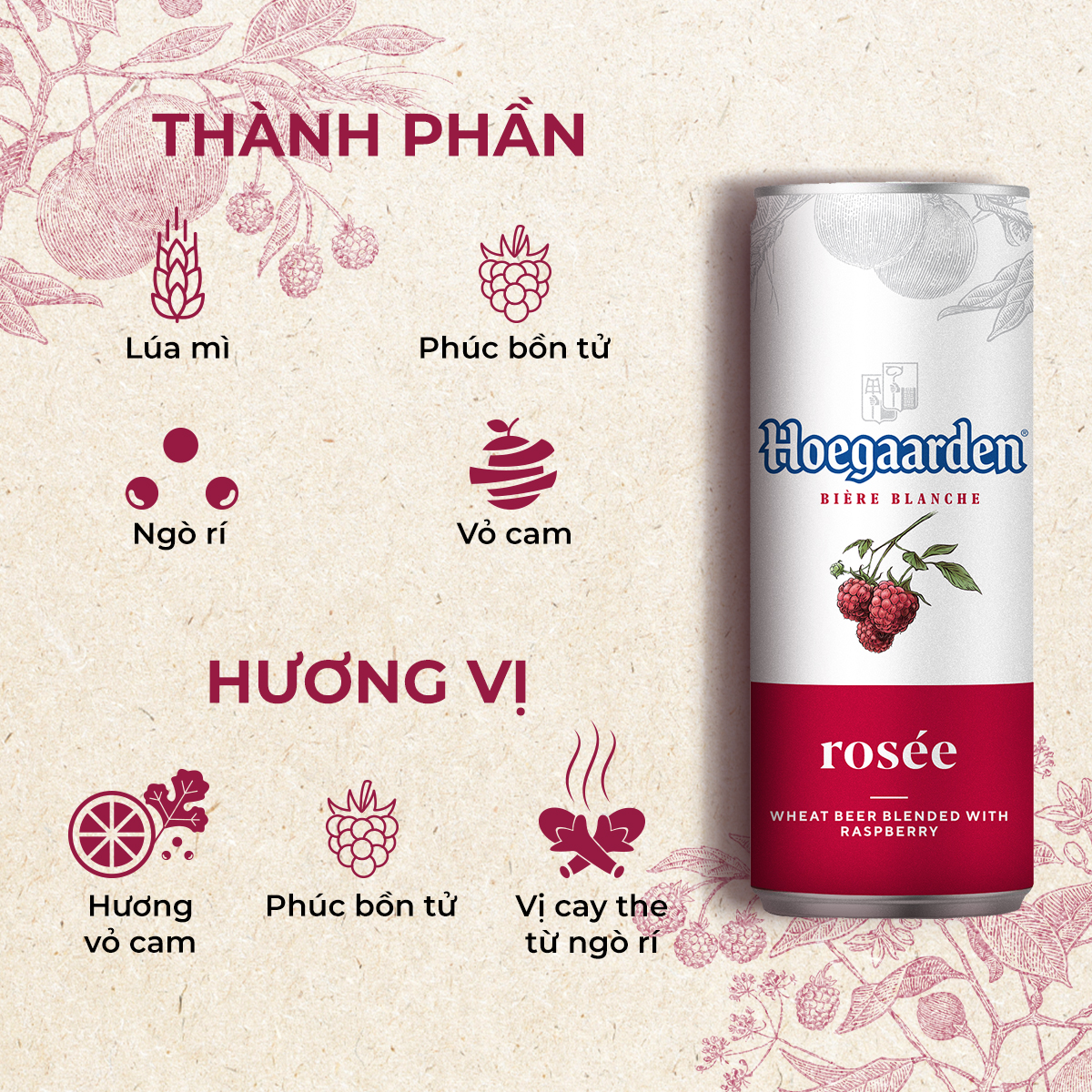 Lốc 6 lon Hoegaarden Rosee (330ml/lon) [Date 12/2024]