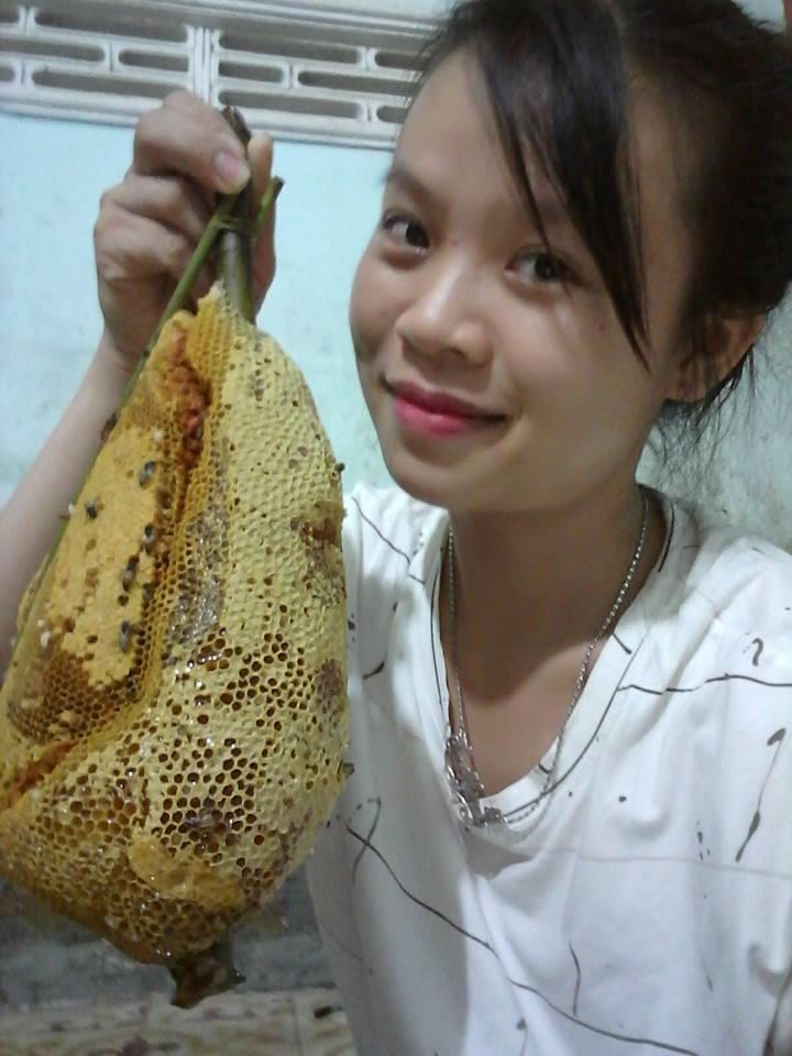 mật ong ruồi nguyên tổ ( r.ừng nguyên sinh Tây Nguyên )