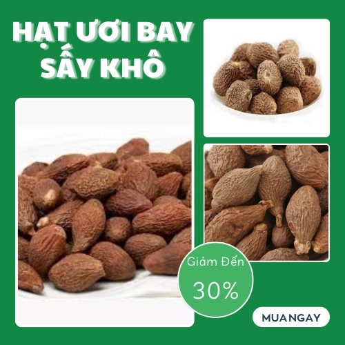 Hạt ươi khô túi lớn loại 1kg, Hạt đười ươi - Hàng công ty chất lượng cao - chuyên dùng để nấu các món ăn thơm ngon và bổ dưỡng