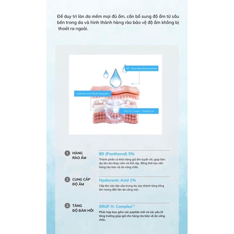 Tinh chất B5 cấp ẩm và phục hồi da Ahohwa Hydration Ampoule B5