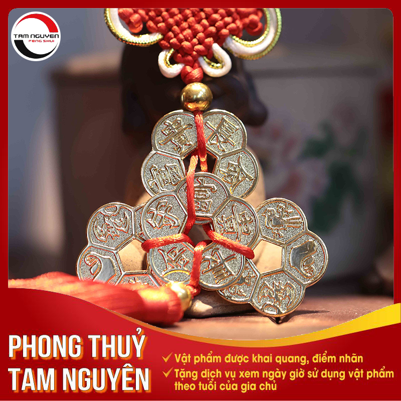 Ngũ Phúc Hoa Mai - Phong Thủy Tam Nguyên